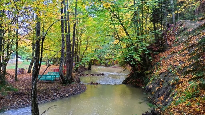 Abant Bahçeli Köşk